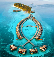 Awesome Image