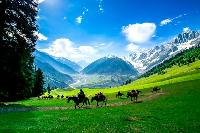 Kashmir Kahani