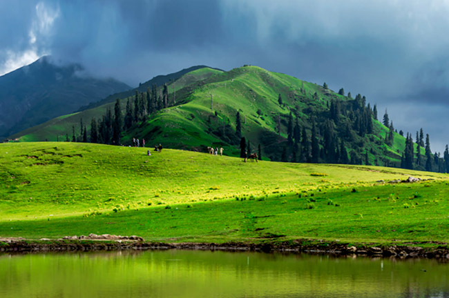 Kashmir Shogran Siri Paye Honeymoon Package